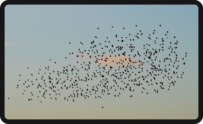 Society Protocol app